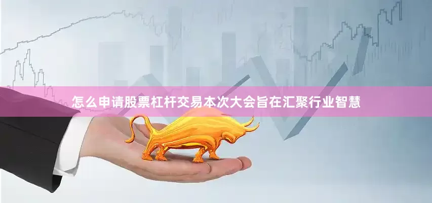 怎么申请股票杠杆交易本次大会旨在汇聚行业智慧